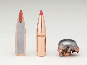 Rifle Ammunition  Choice Ammunition