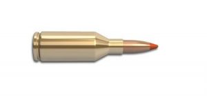 223 Winchester Super Short Magnum (WSSM) 50 Grain TNT Hollow Point