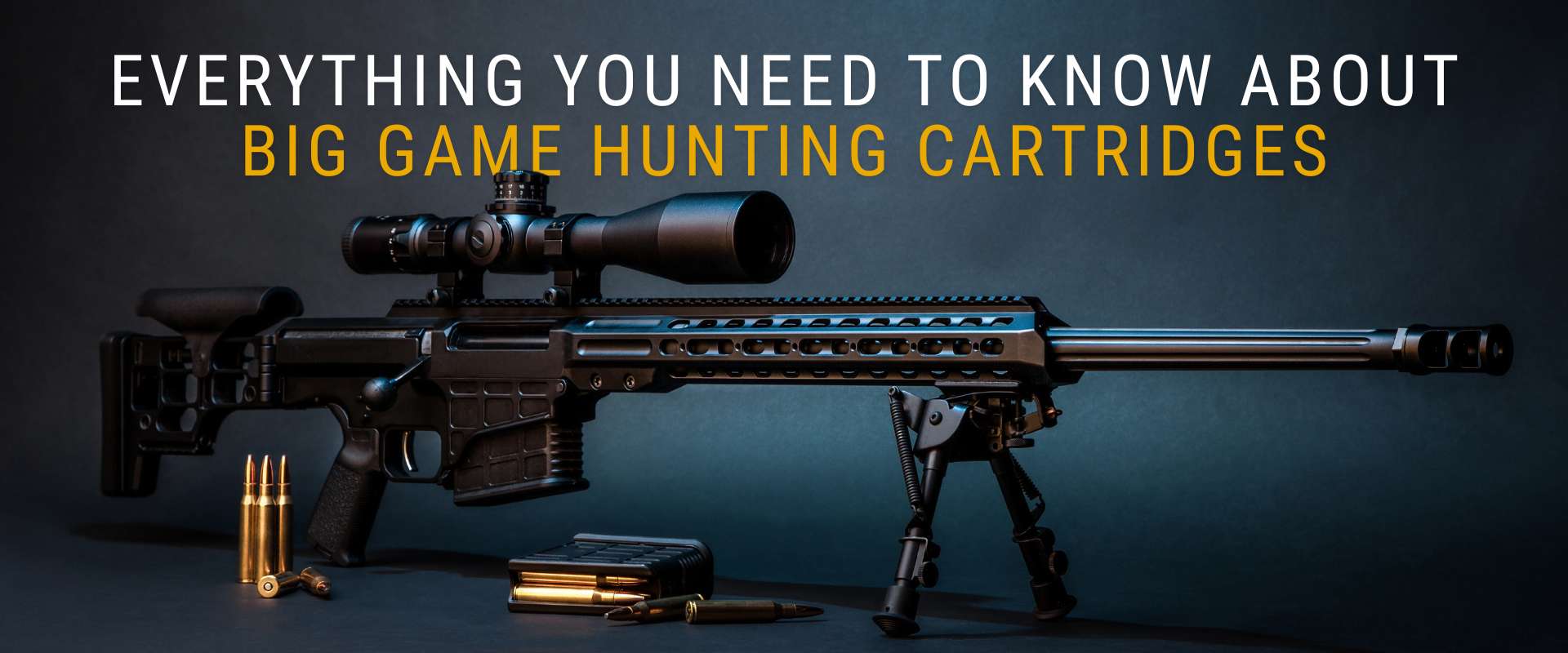 Everything You Need To Know About Big Game Hunting Cartridges