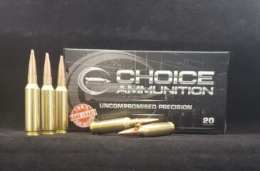 .25-06 Remington 100 Grain Nosler Ballistic Tip~100% Hand Loaded !!