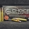 .308 Winchester 125 Grain Nosler AccuBond~100% Hand-Loaded!!