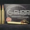 7MM STW 160 Grain Barnes TSX (LEAD FREE) 100% Hand Loaded !!