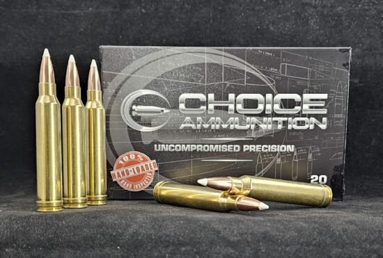 .300 Winchester Magnum 180 Grain Nosler AccuBond~ 100% Hand Loaded !!