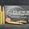 .300 Weatherby 180 Grain Nosler Partition~100% Hand Loaded !!