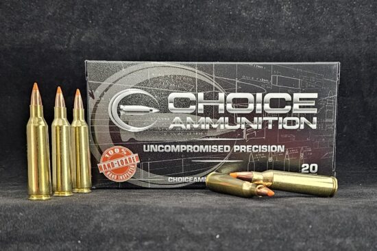 22-250 Remington 50 Grain Nosler Ballistic Tip~ 100% Hand Loaded !!