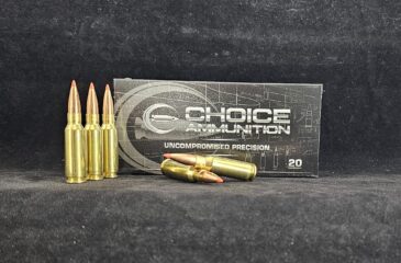 6.5 Grendel  95 Grain Hornady V-Max~100% Hand Loaded!!