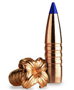 Nosler Ballistic Tip 6.5 Creedmoor 140gr 20rd - Spotted Dog Sporting Goods