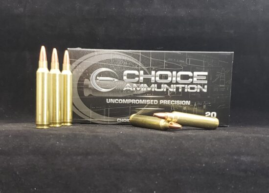 40BTVARM204RUGER20 Choice Ammunition .204 Ruger 32 Grain NOSLER VARMAGEDDON HOLLOW POINT~100% HAND LOADED !!
