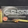 .243 Winchester  95 Grain NOSLER BALLISTIC TIP~100% HAND LOADED !!