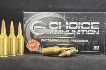 .243 Winchester  87 Grain SOFT POINT~100% HAND LOADED !!