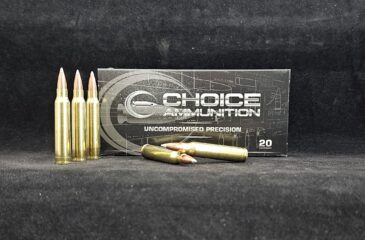 .223 REMINGTON 55 GRAIN NOSLER BALLISTIC TIP VARMINT~100% HAND LOADED !!
