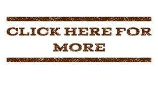 .204 Ruger 32 Grain Hornady V-Max~100% Hand Loaded !!